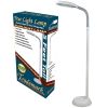5-Foot Contemporary Floor Lamp with Energy Efficient Light Bulb