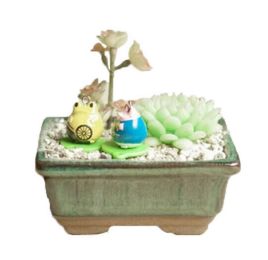 Mini Bathtub Shape Ceremic Plant Pot --7